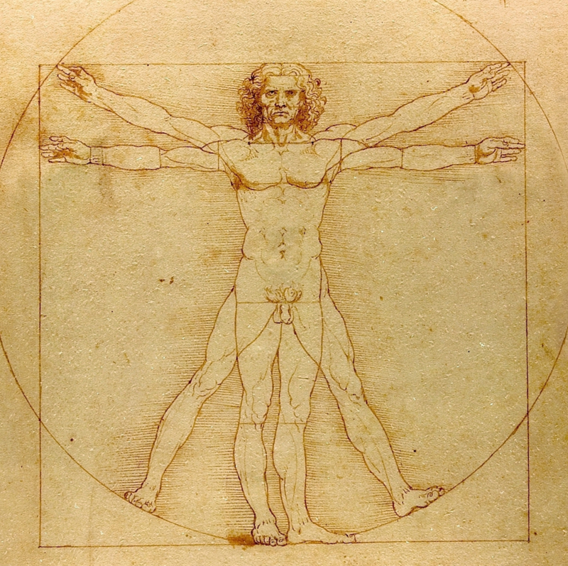 Da Vinci The vitruvian man