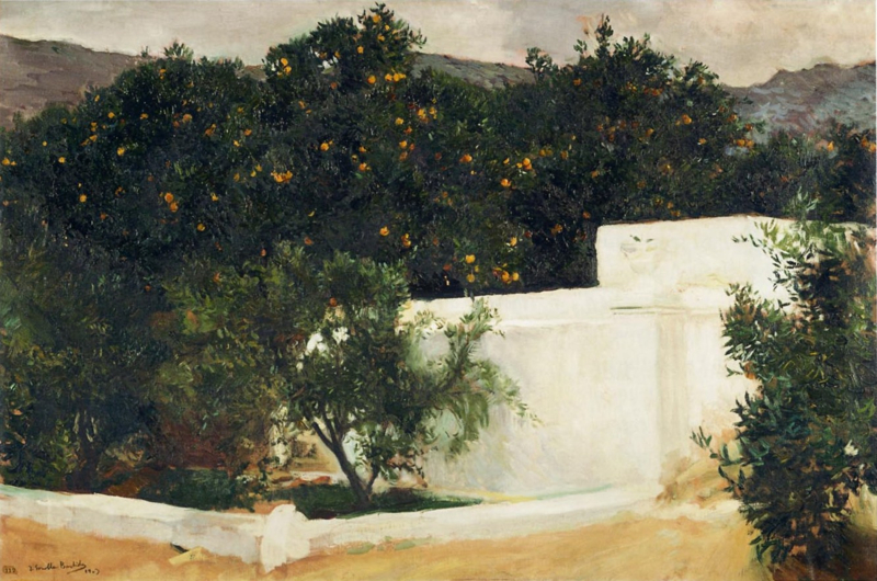 Sorolla Orange trees on the road to Seville