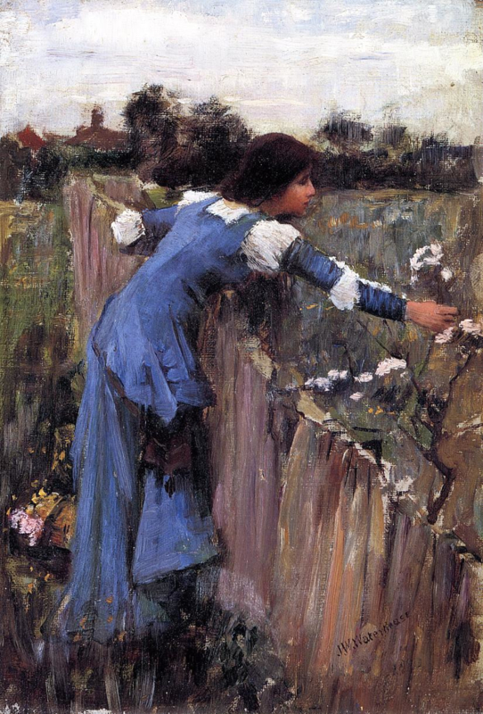 Waterhouse The flower picker