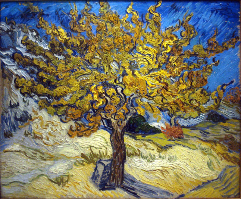 Van Gogh Mulberry