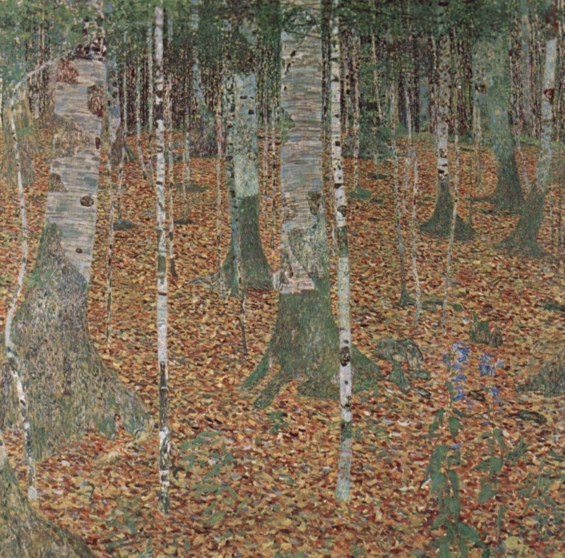 Klimt Birch Grove