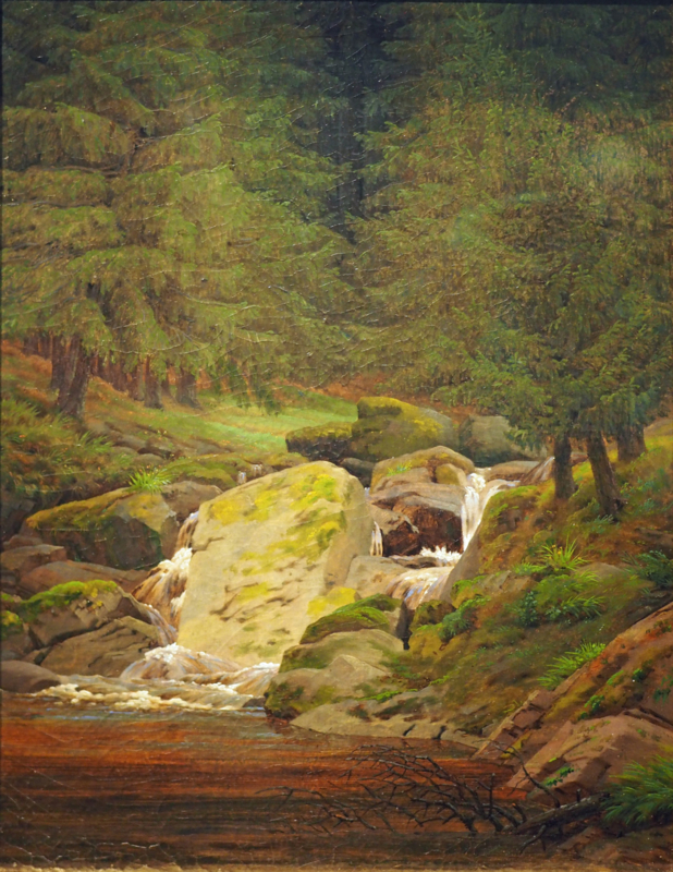 Friedrich Spruce forest with a waterfall