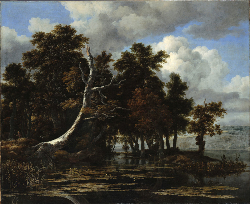 Van Ruisdael Oaks by a lake with water lilies