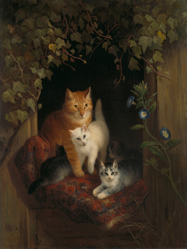 Ronner-Knip Cat with boy