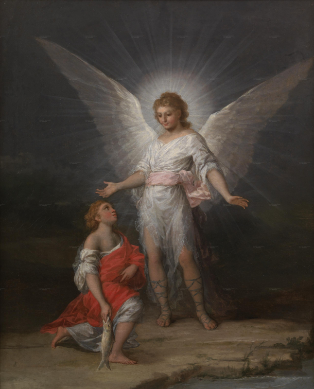 Goya Tobias and the angel