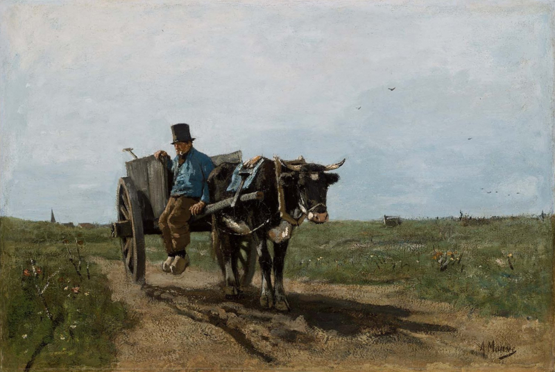 Mauve Carter on a path