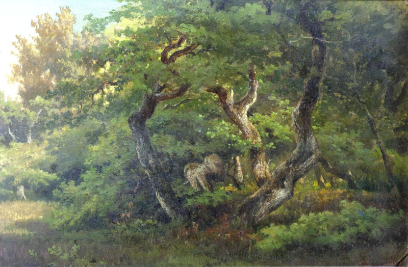 Springer Group of oaks at the edge of a forest