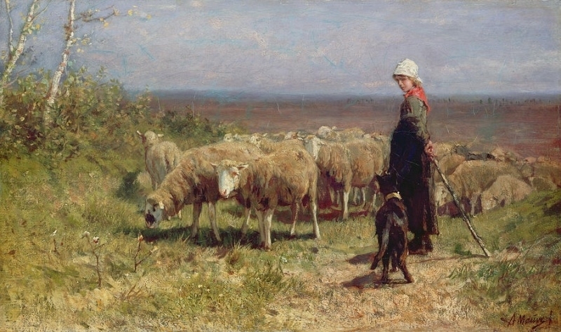 Mauve The shepherdess