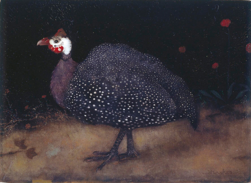 Mankes Guinea fowl