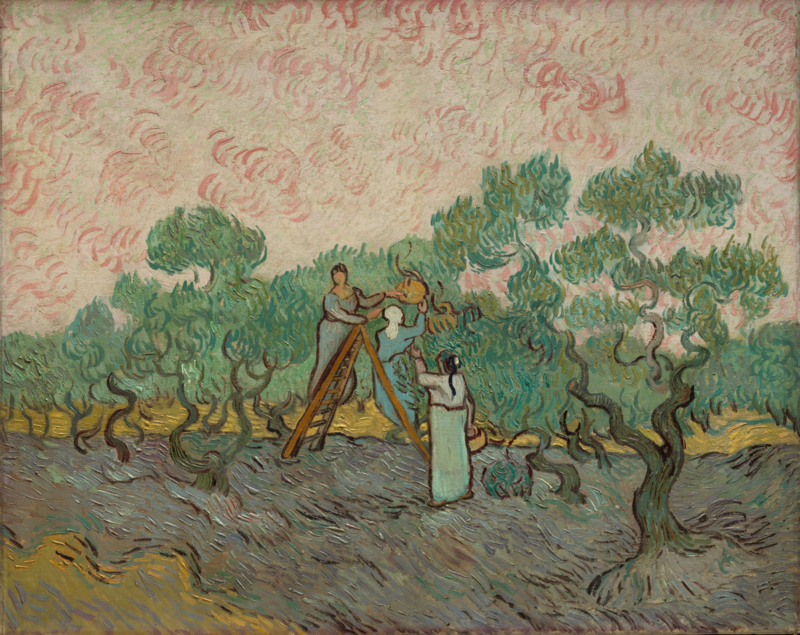 Van Gogh Olive pickers
