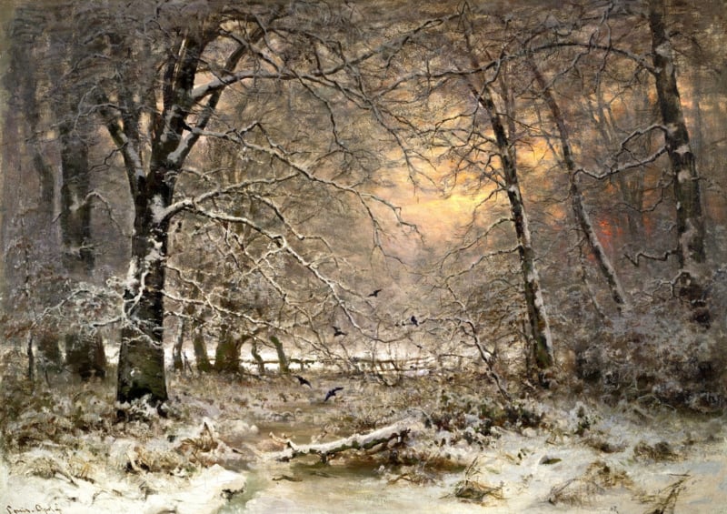 Apol Forest at winter