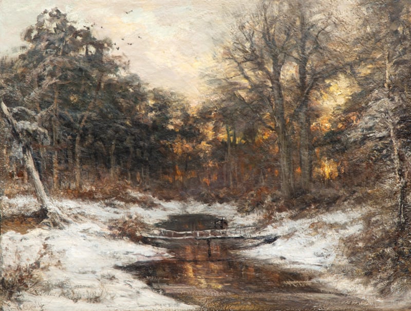 Apol Sunset in a snowy forest