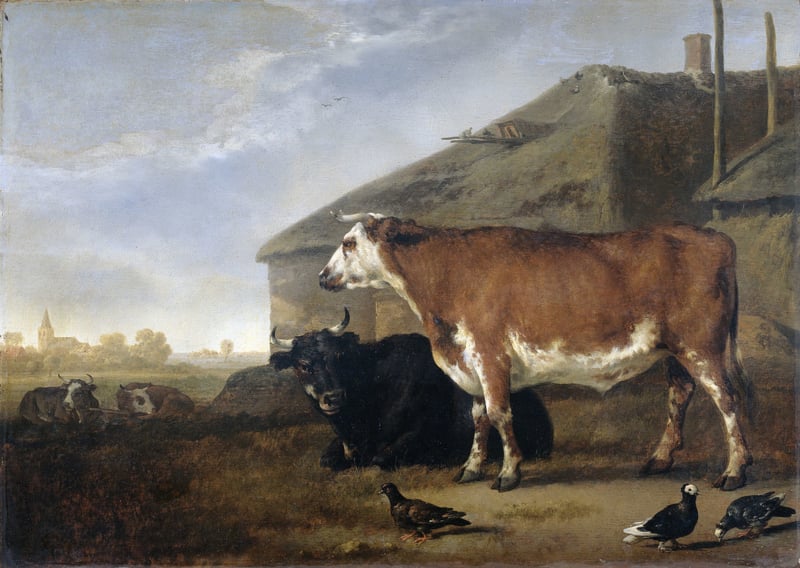 Cuyp Two oxen at a farm