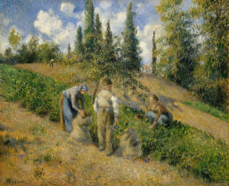 Pissarro The Harvest