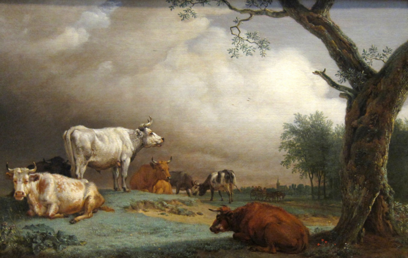 Potter Pasture landscape with cattle