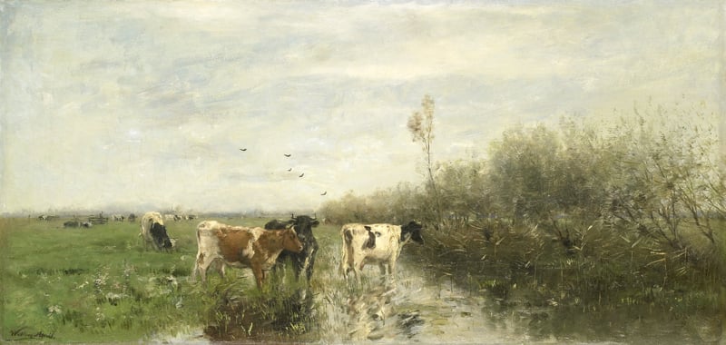 W. Maris Cows in a swampy meadow