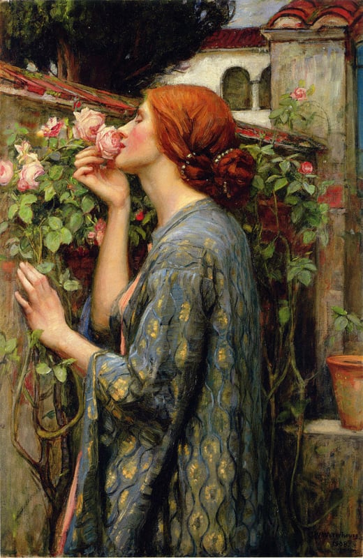 Waterhouse My sweet rose