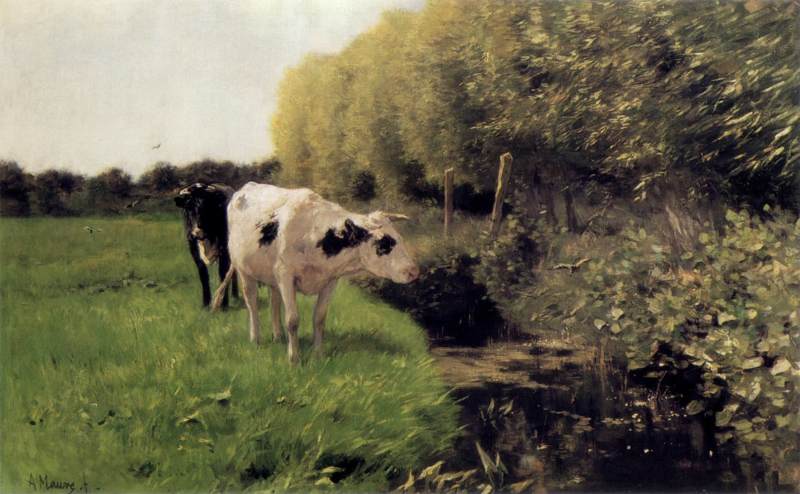 Mauve Cows at a ditch