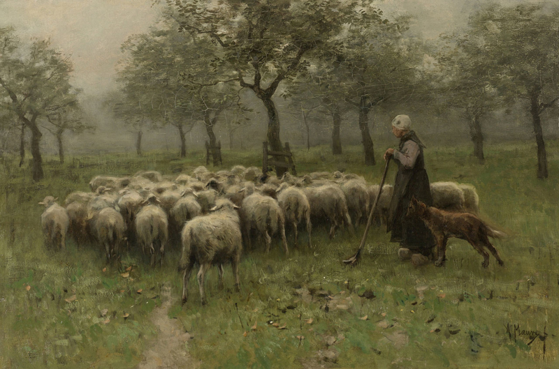 Mauve Shepherdess with a flock of sheep
