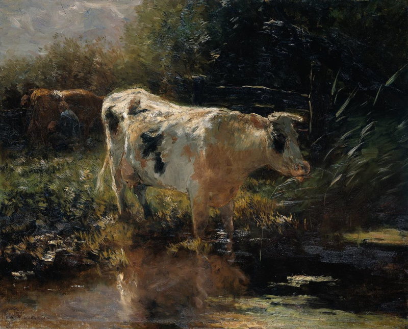 W. Maris Cow at the ditch side