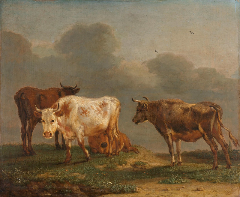 Potter Four cows in the pasture