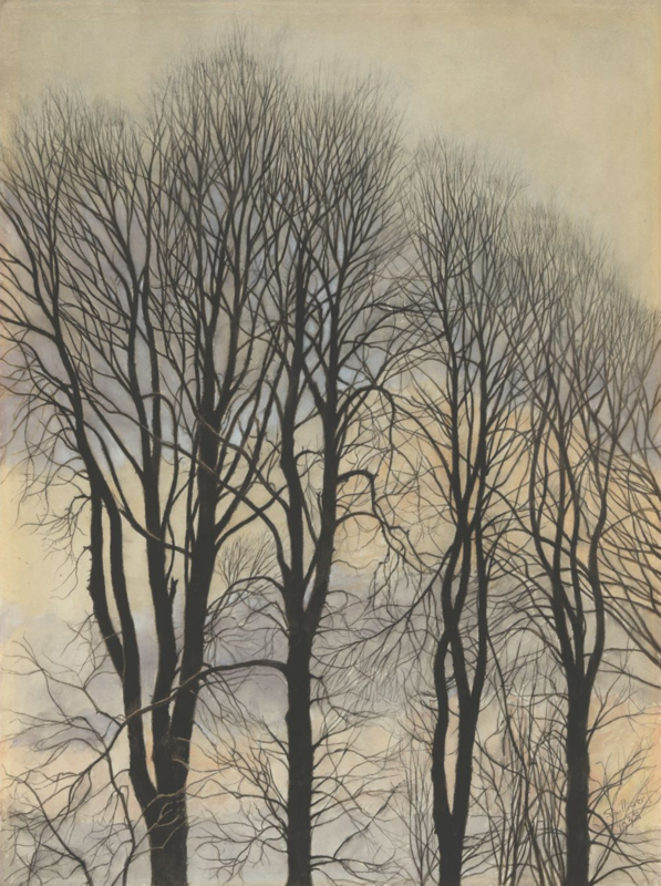 Spilliaert Arbres et ciel (trees and sky)