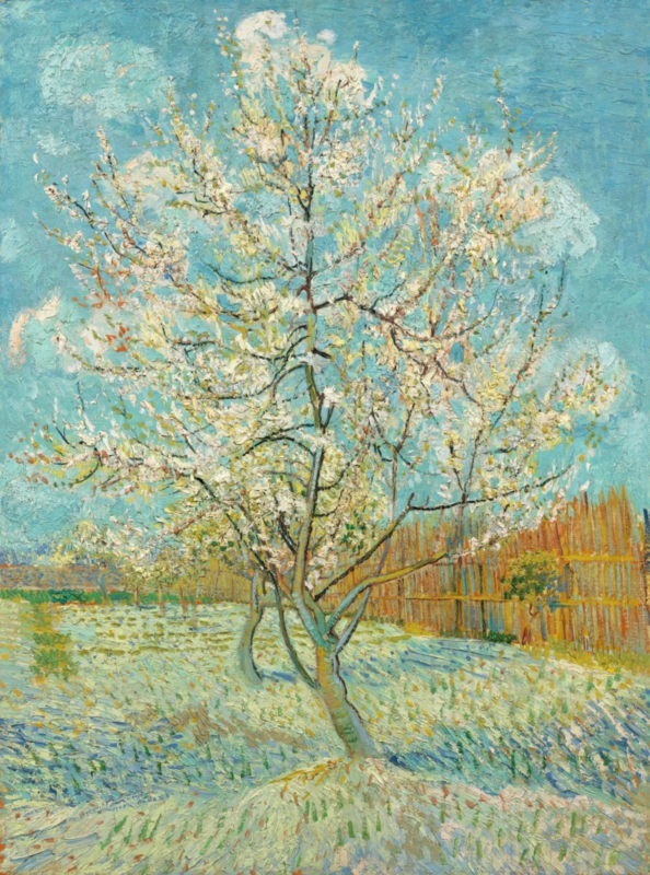 Van Gogh The pink peach tree