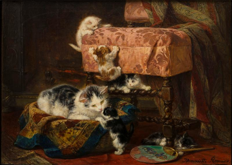 Ronner-Knip Cat with five cubs