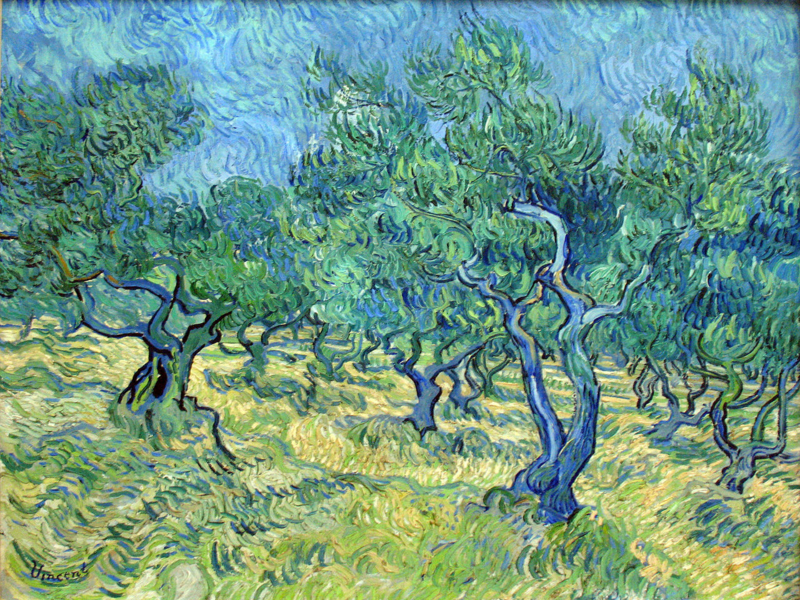 Van Gogh Olive Garden