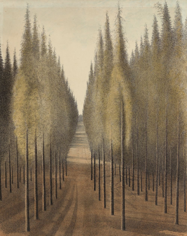 Spilliaert The firebreak