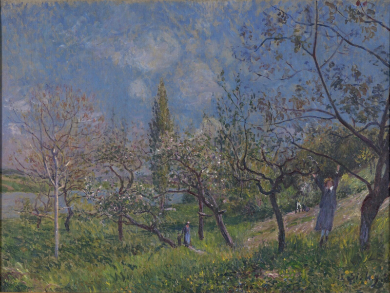 Sisley An orchard in the spring at By