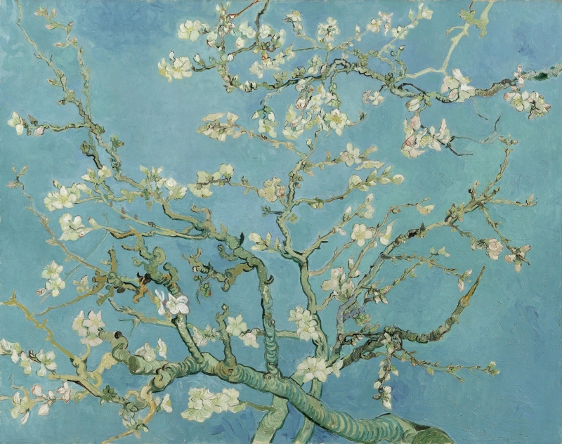 Van Gogh Almond Blossom