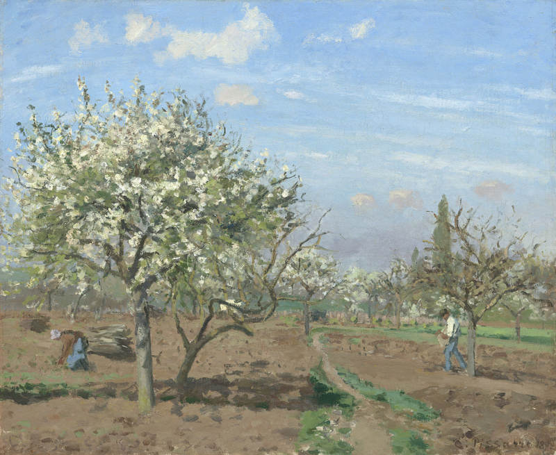 Pissarro Orchard in bloom