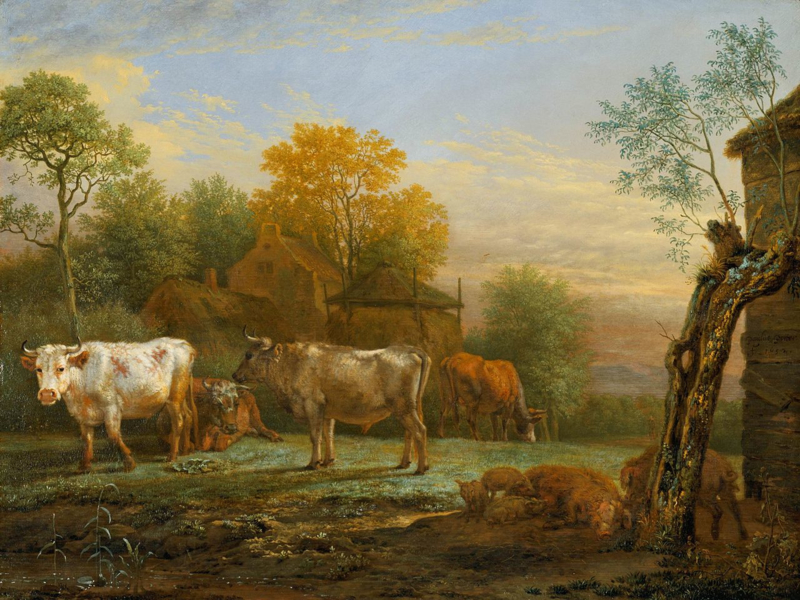 Potter Cattle in the pasture