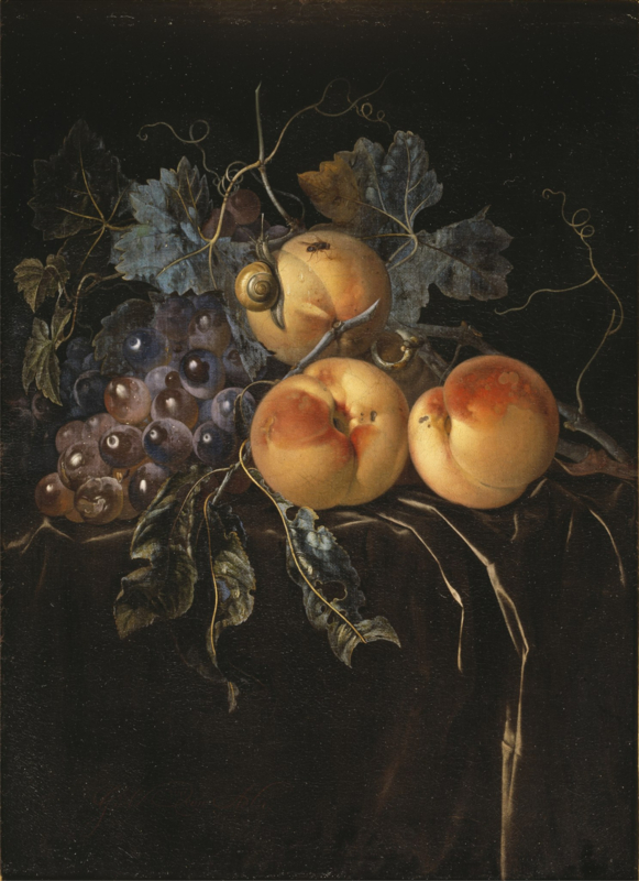 Van Aelst Still life with peaches and grapes