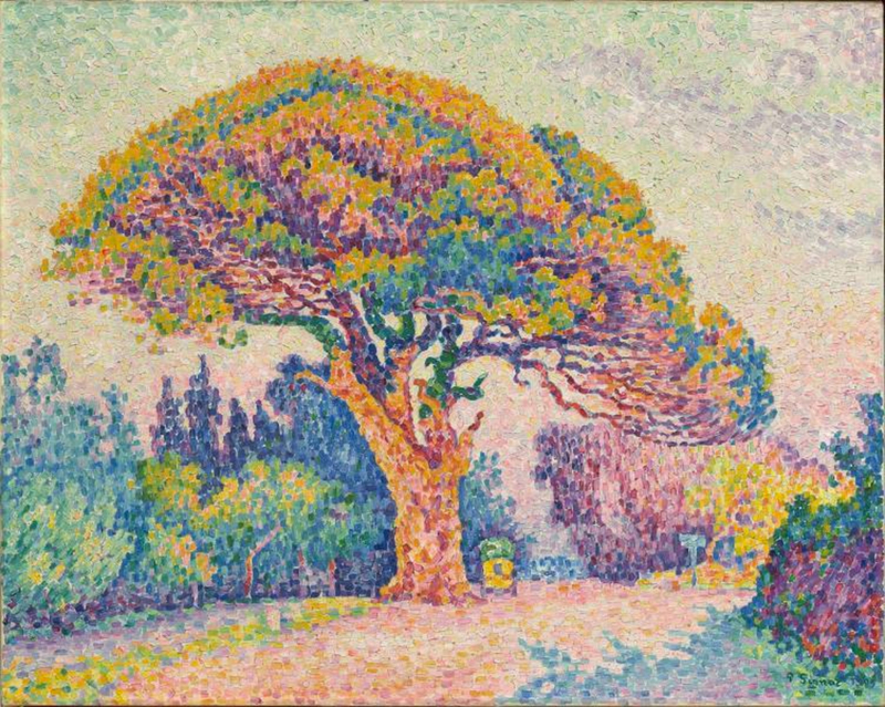 Signac The pine tree of Saint-Tropez