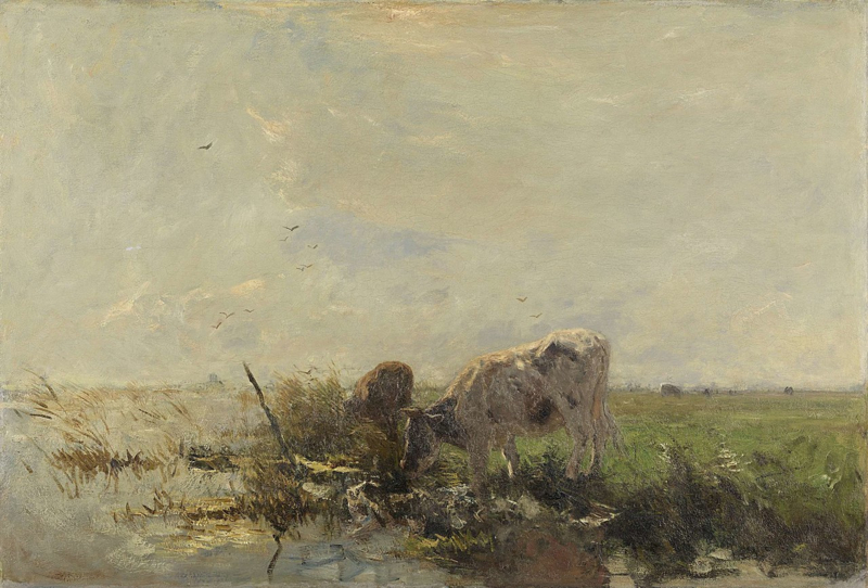 W. Maris Cows at a puddle