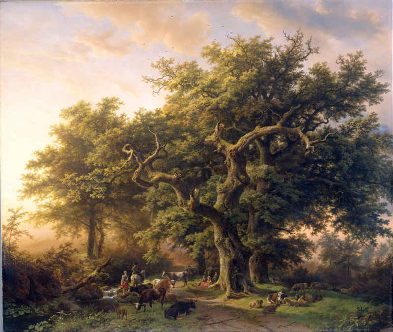 B.C. Koekkoek Forest View